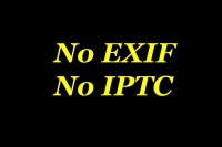 No EXIF IPTC